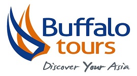 buffalo-tours-discover.jpg